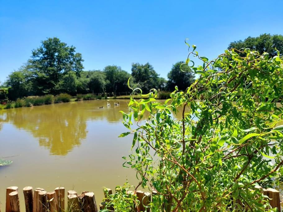 Vila La Roulotte Du Pecheur Saint-Privé Exteriér fotografie